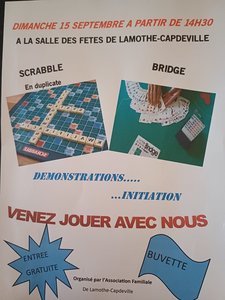 Affiche bridge scrabble